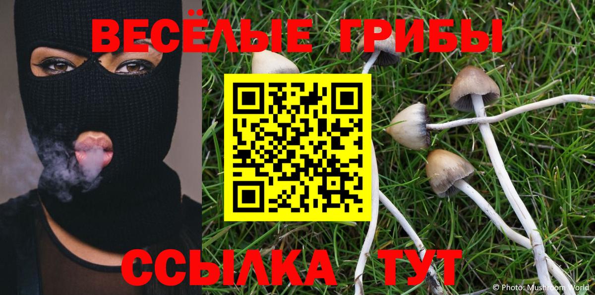 Галлюциногенные грибы Cubensis Гулькевичи